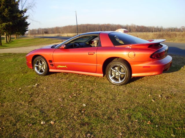 2002FIREHAWK1221/1221ParadiseGoo2.jpg