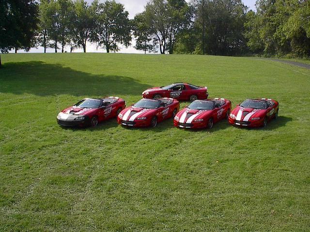 BERGER/PE3v.jpg
