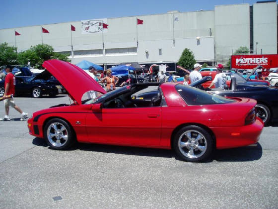 BERGERHOTROD/InteriorSeats.jpg