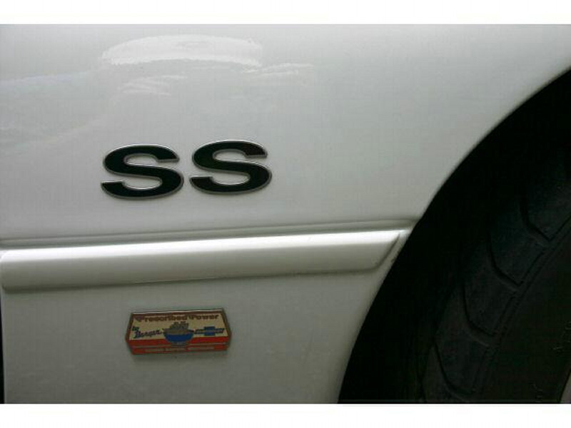 BERGERSS45W/SSDyno.jpg