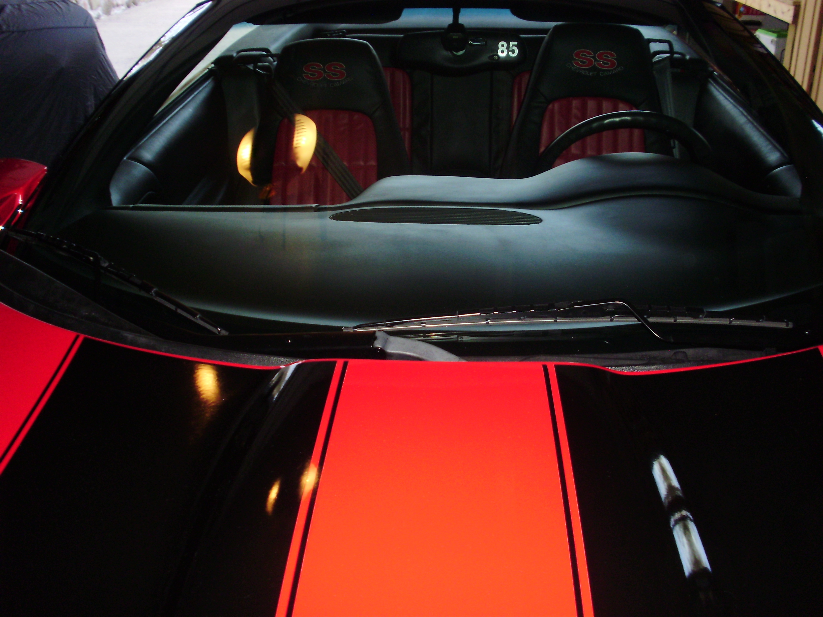 BERGERSS85/a85RearTopDown.JPG