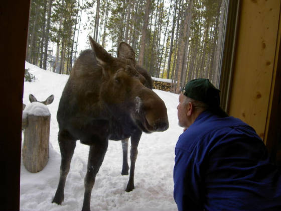 WESTVIEW/MooseJim.jpg